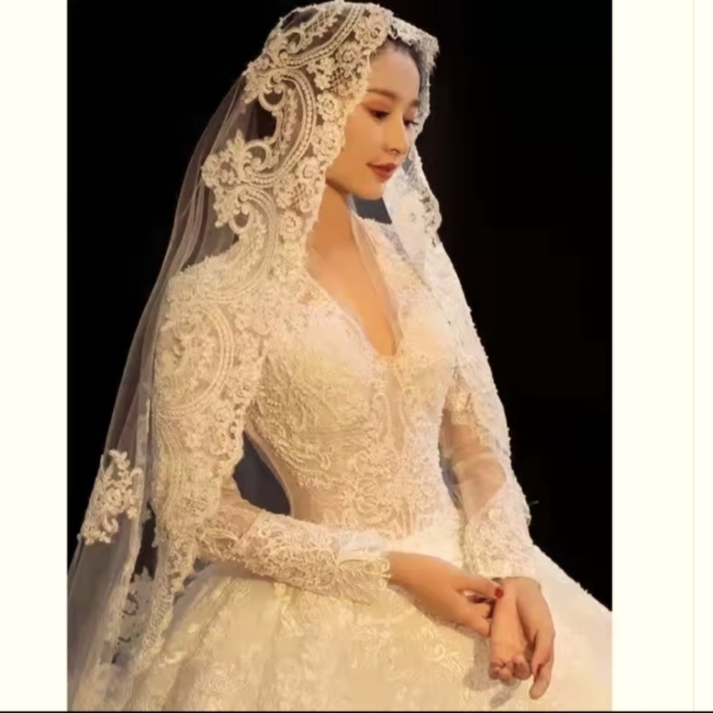 Elegant Lace Bridal Veil